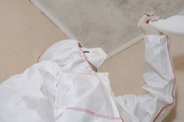 Best Mold Cleaning Services  in Guttenberg, NJ